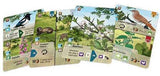 Forest Shuffle: Woodland Edge Expansion